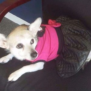 Meet your Posher, Endsley